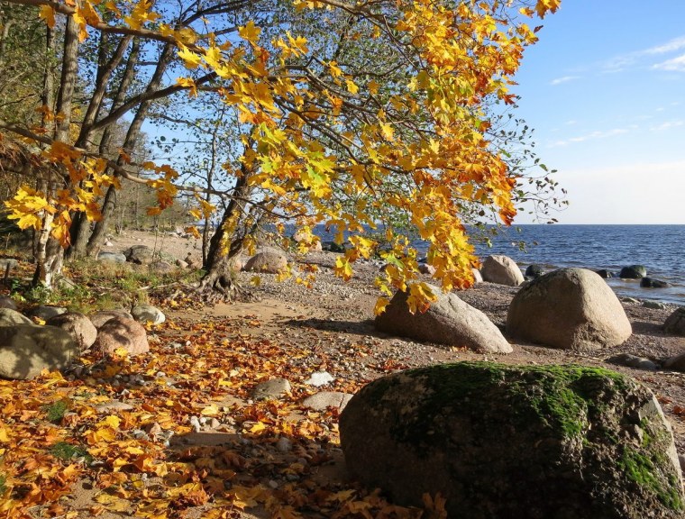 Листвянка Байкал осень