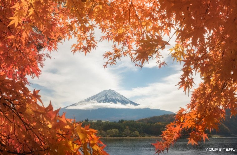 Природа черное море Крым