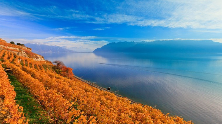 Пляж Калининград Янтарный осень