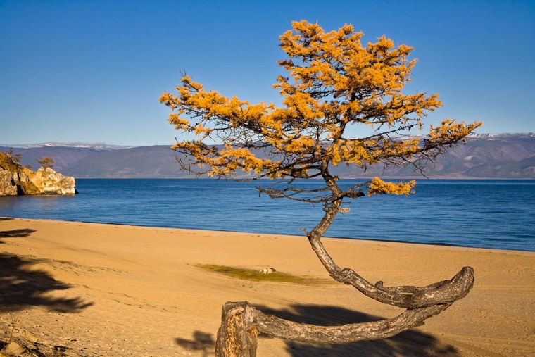 Море солнце Крым