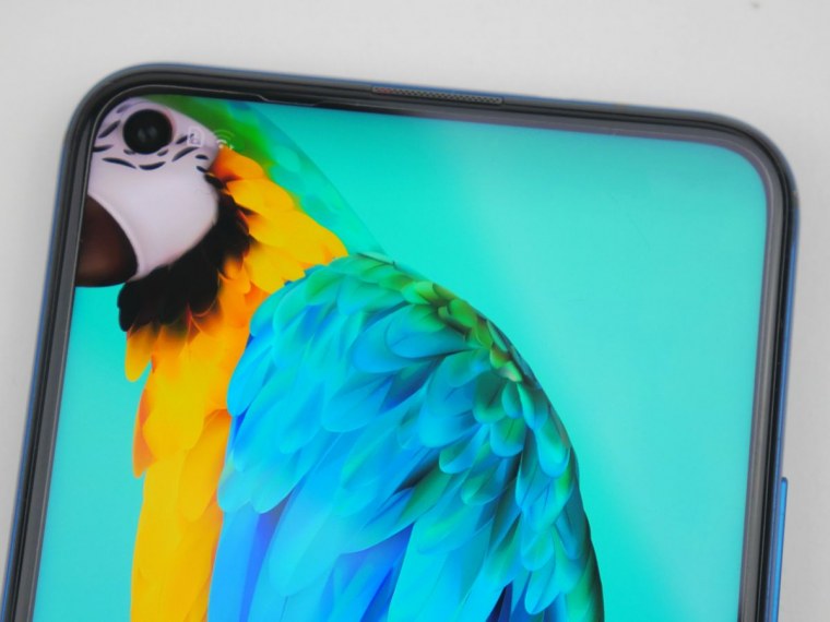 Honor 20 Pro попугай