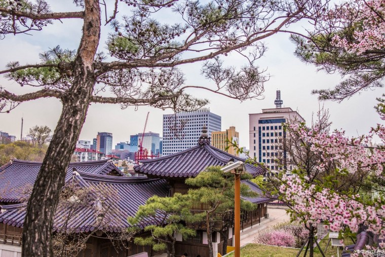 Южная Корея Эстетика Сеул