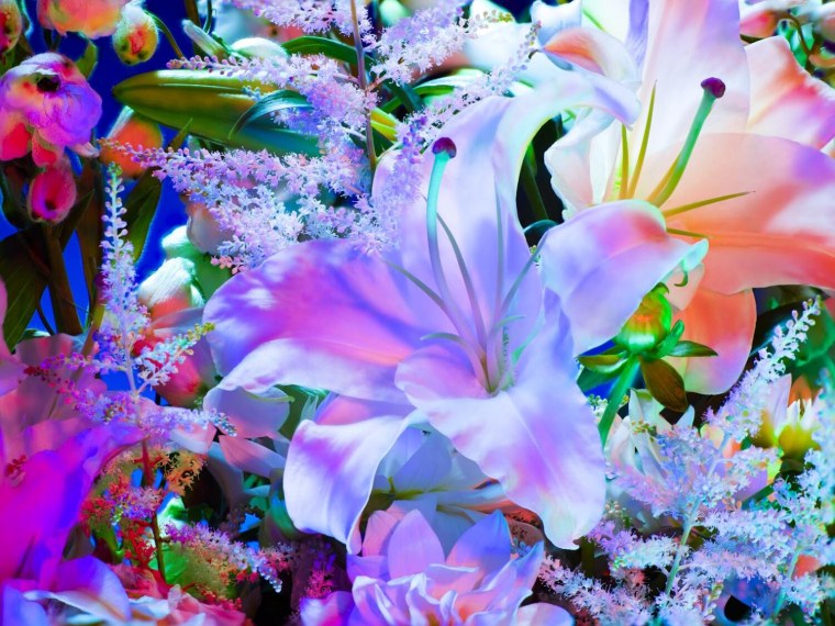 Душевные цветы