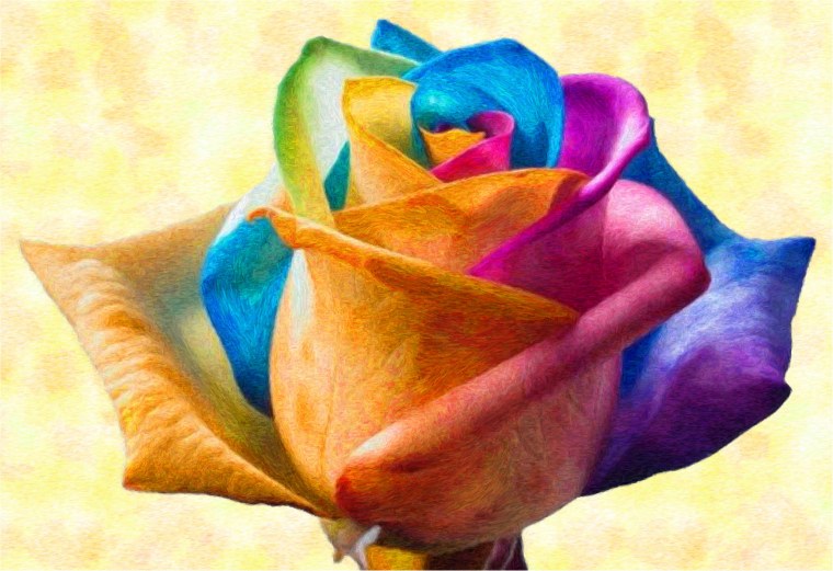 Радужные цветы