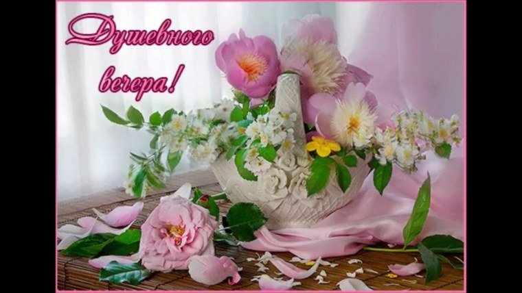 Фото цветов красивые