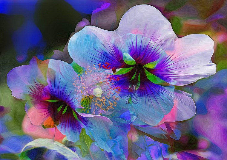 Маргаритка помпонная белая