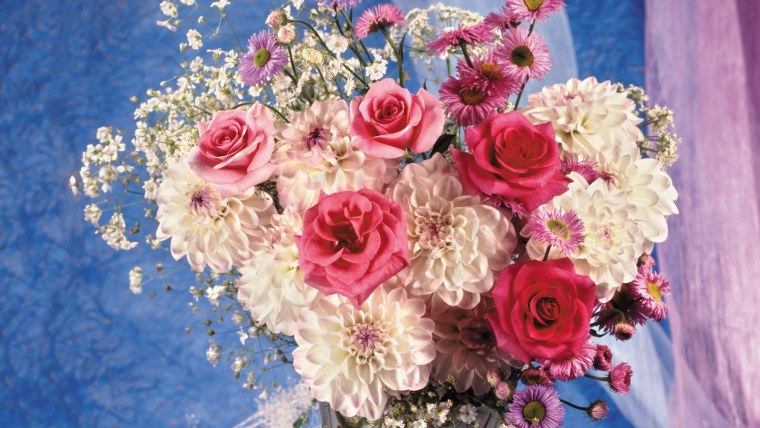 Новогодние ирисы