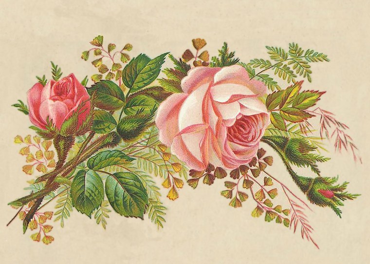 Шикарные цветы