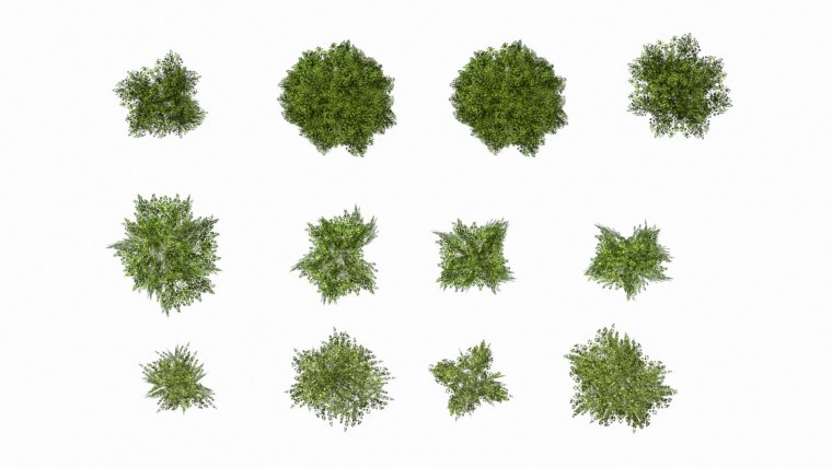 Кустарники вид сверху для фотошопа