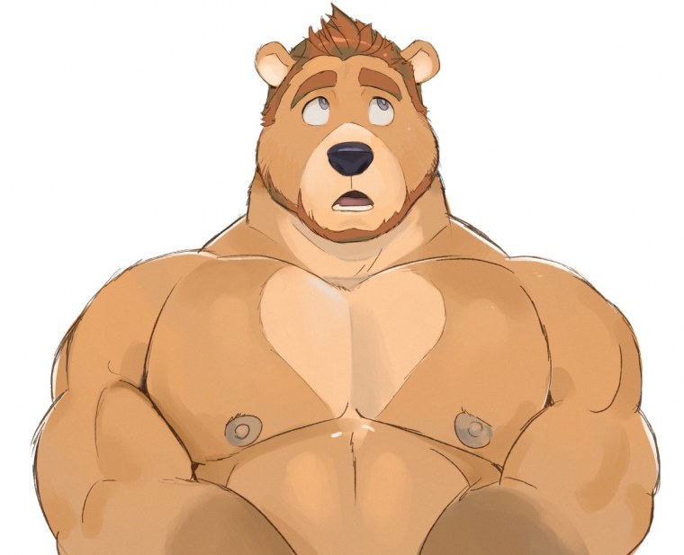Furry bara медведи
