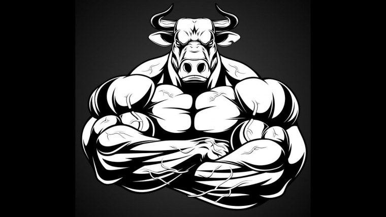 Джиу-джитсу ground Shark