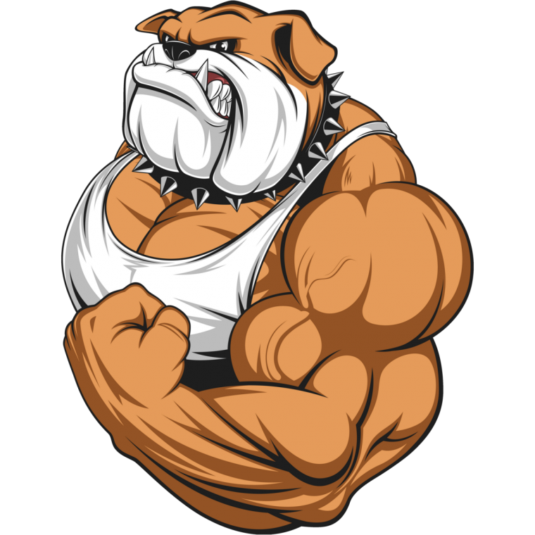 Медведь качок