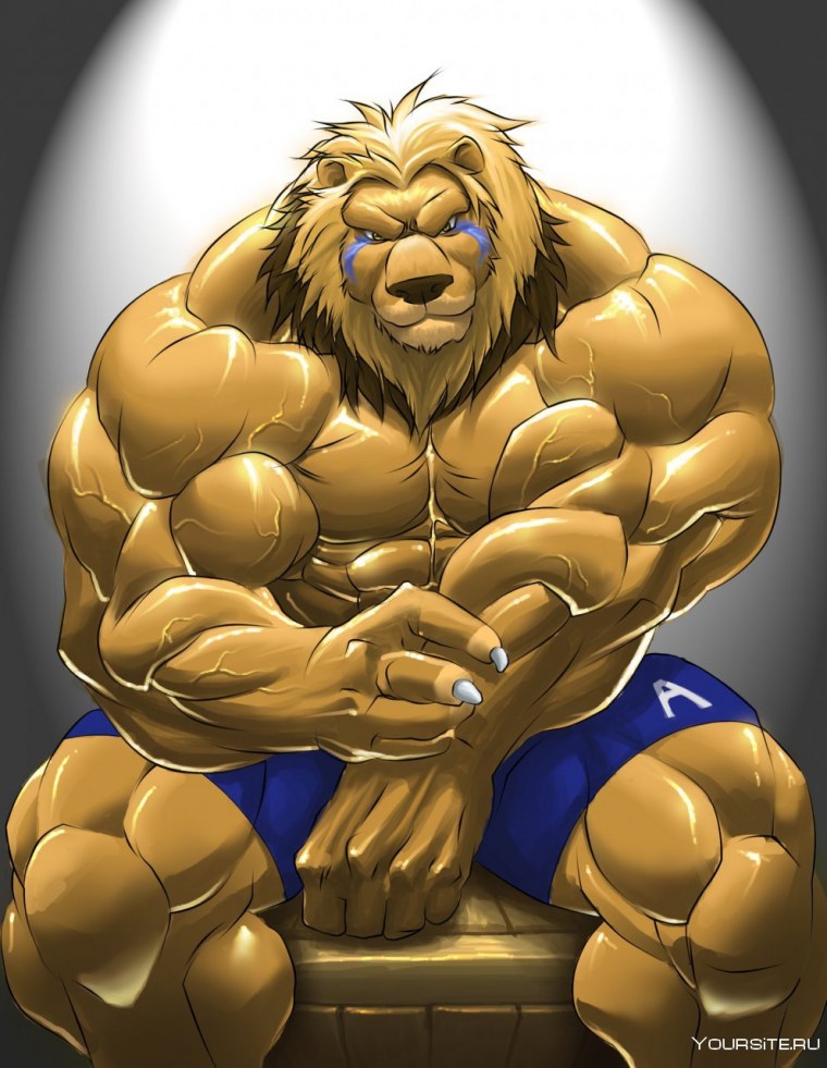Мускулистый Лев