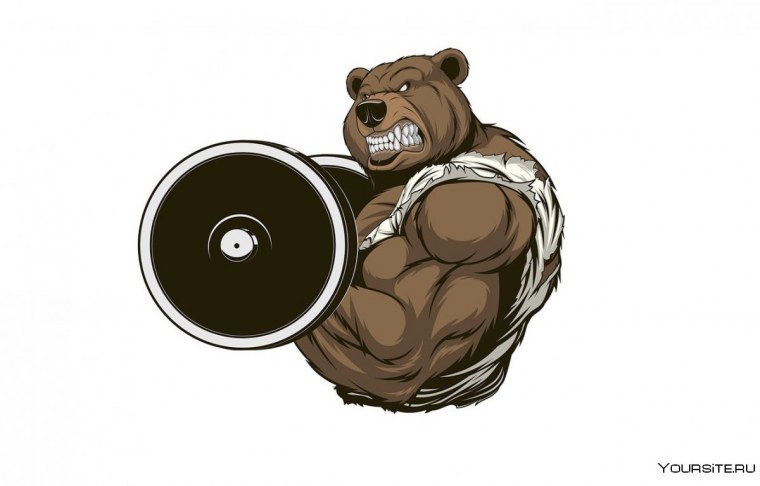 Медведь со штангой