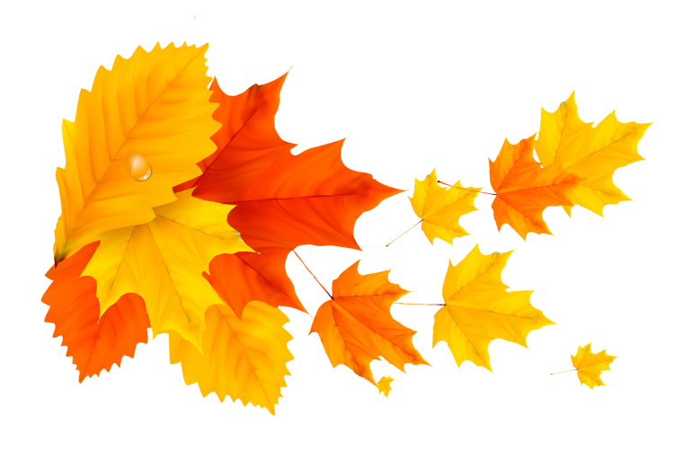 Осенние листья