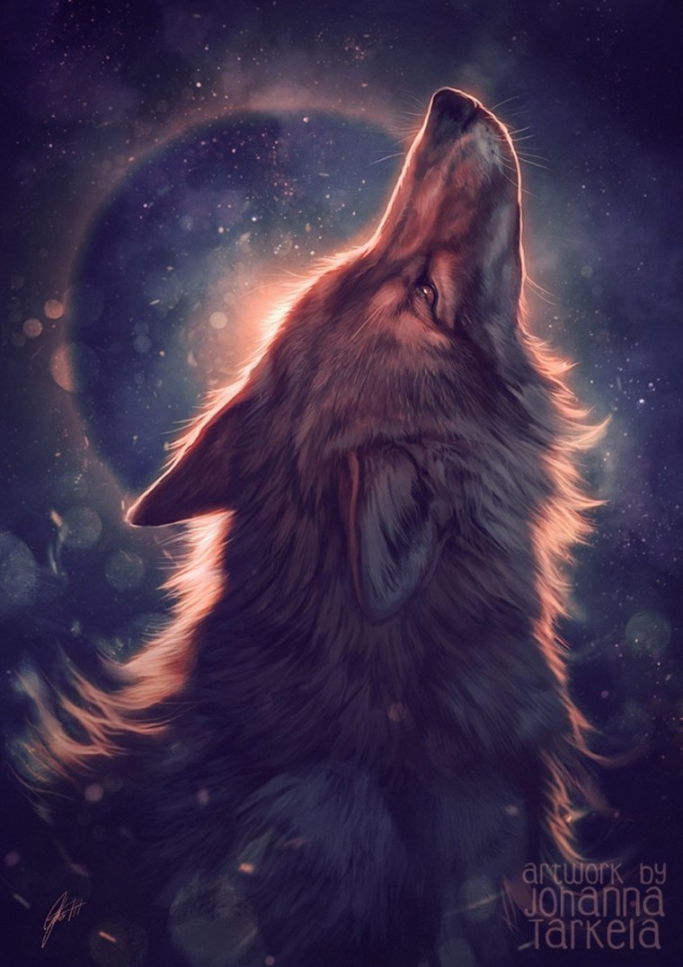 Волк красивый арт