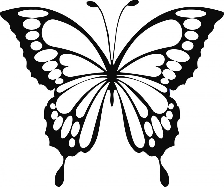 Трафареты бабочки