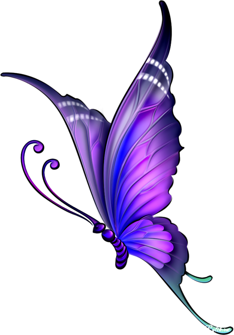 Красивые бабочки на прозрачном фоне