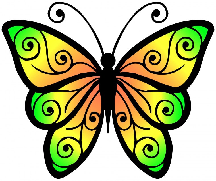 Бабочка рисунок