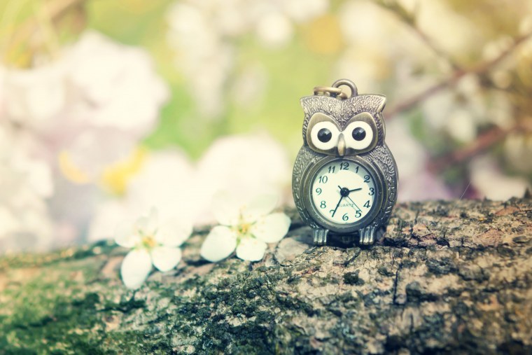 Совушка с часами