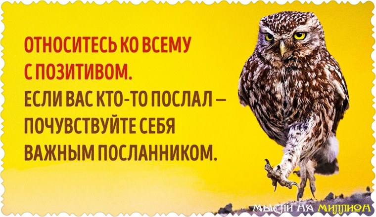 Цитаты про сов