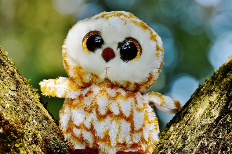 Доброе утро Сова