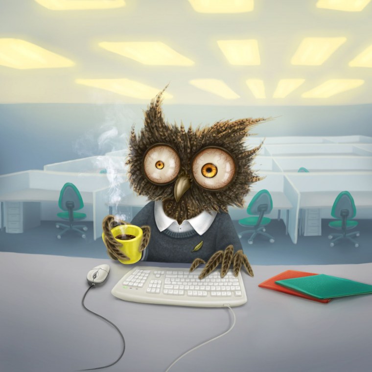 Невыспавшаяся Сова