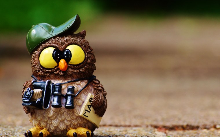 Крутая Сова