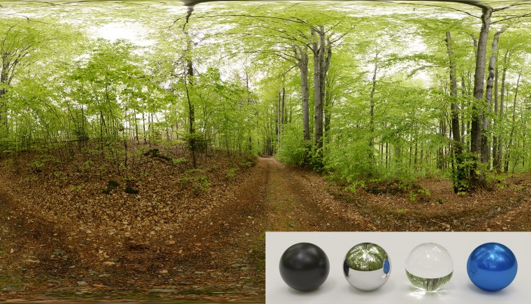 Лесная Поляна HDRI