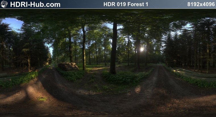 HDRI карта лес