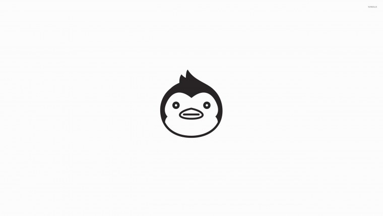 Белый фон 2560 х 1440