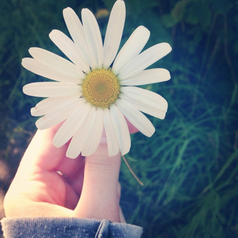 Красивые цветы в руках