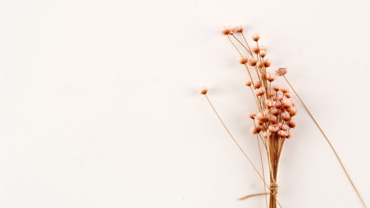 Цветы Минимализм