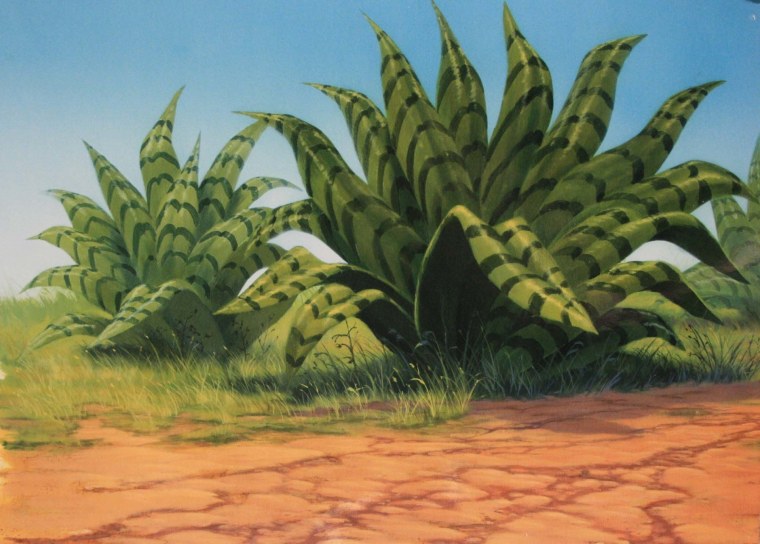 Король Лев мультфильм Саванна