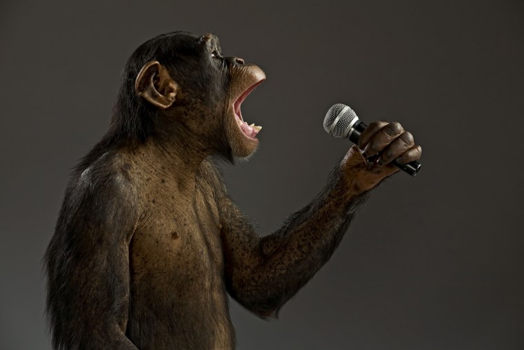 Обезьяна с микрофоном