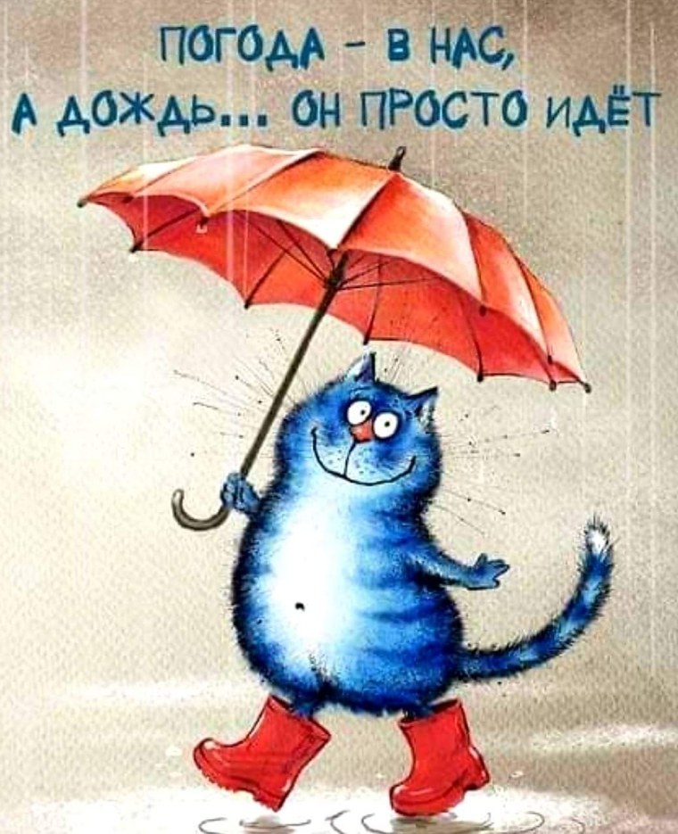 Хорошего настроения в плохую погоду