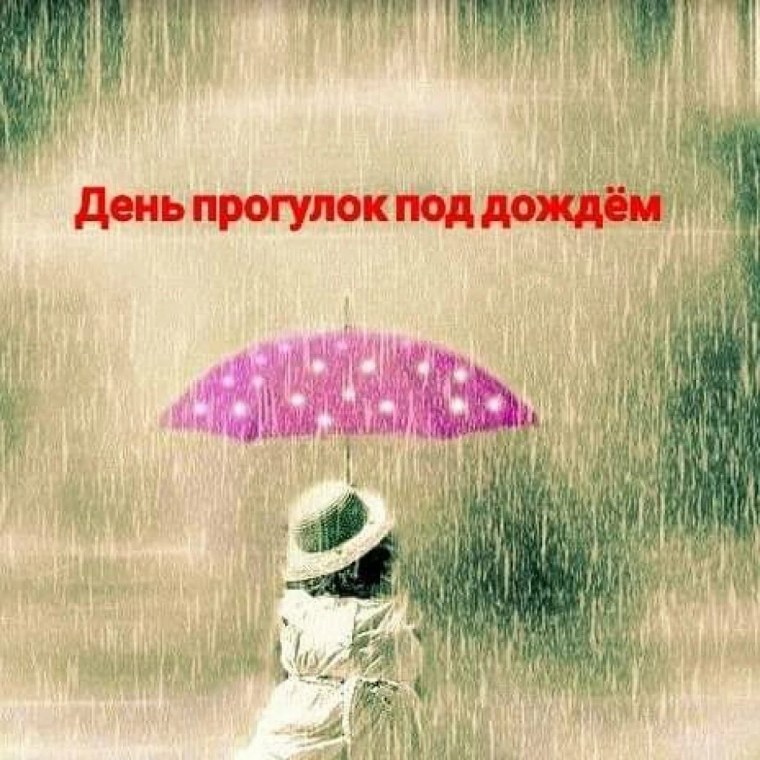 День прогвлов под Дождкм
