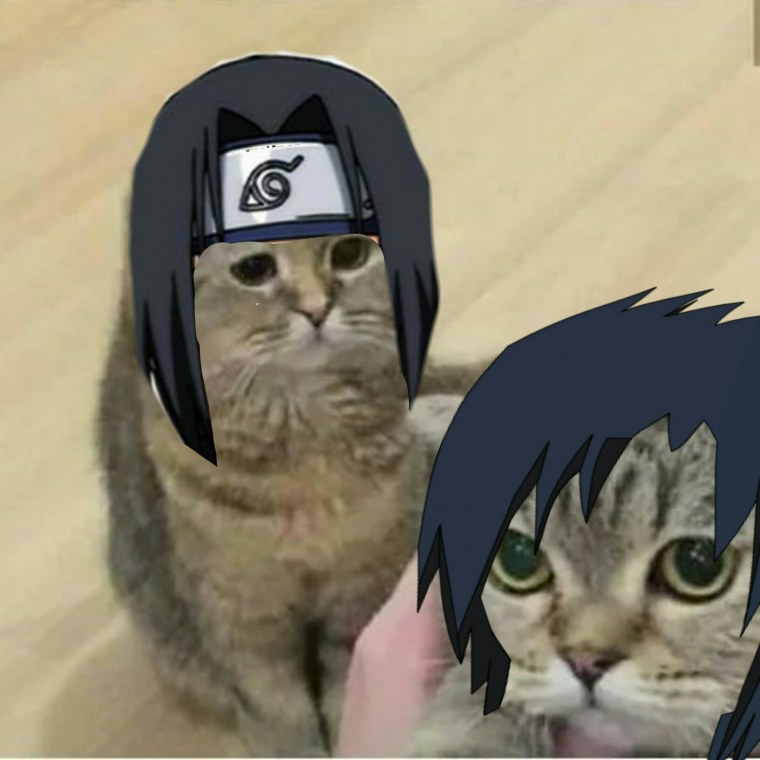 Аниме Наруто Итачи котик