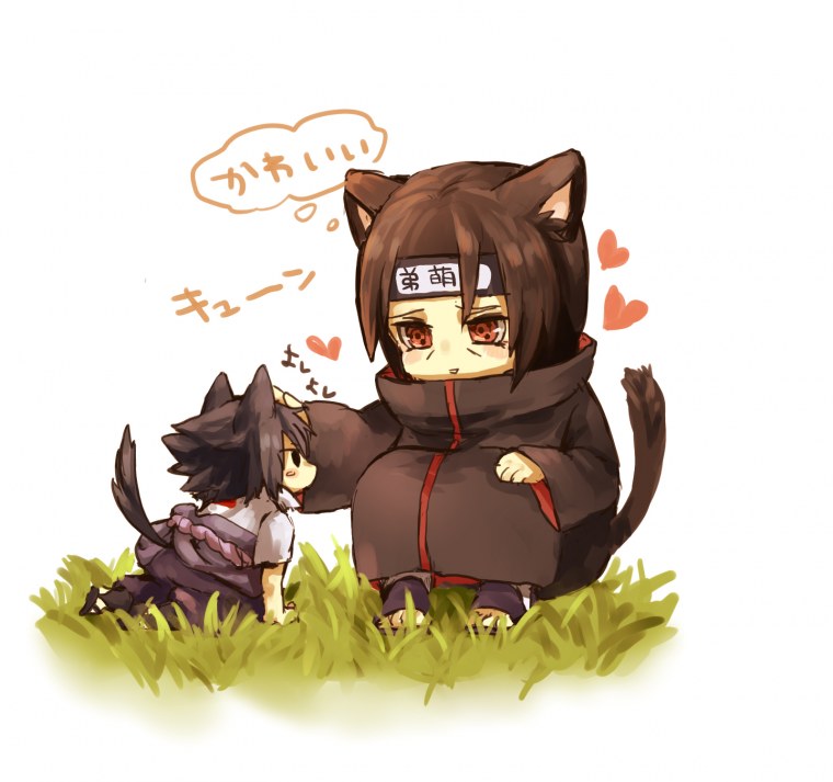 Итачи Чиби кот