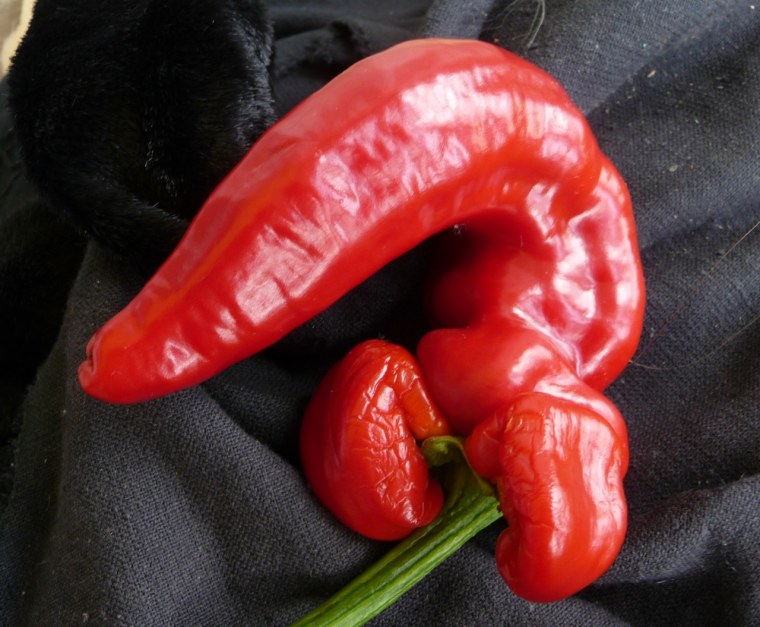 Эмодзи перец Чили