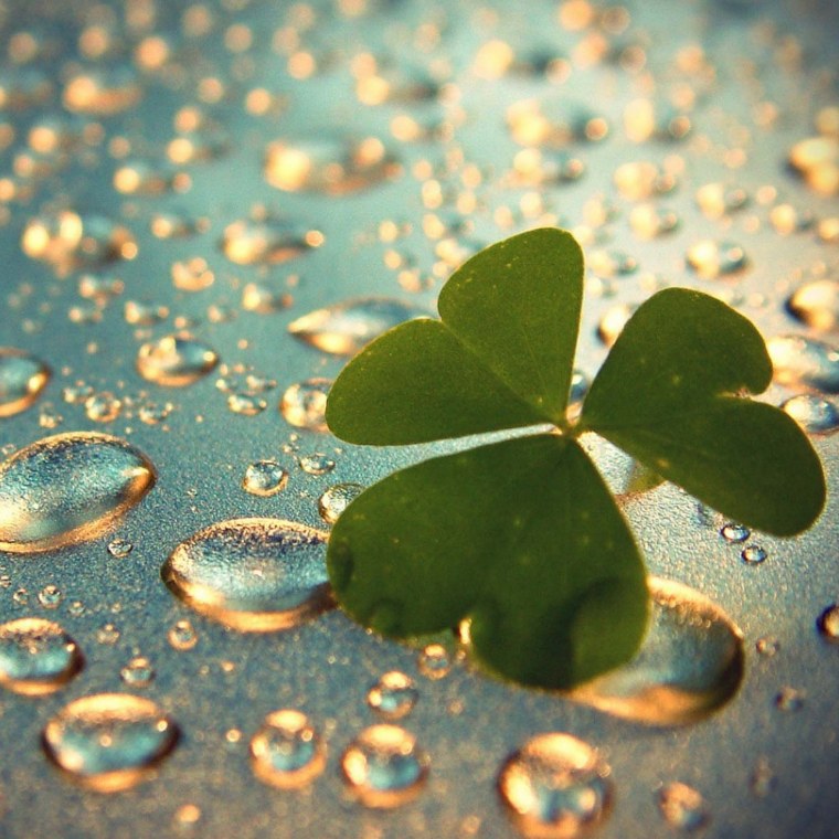 Картины Tatyana Markovtsev Татьяна Марковцева