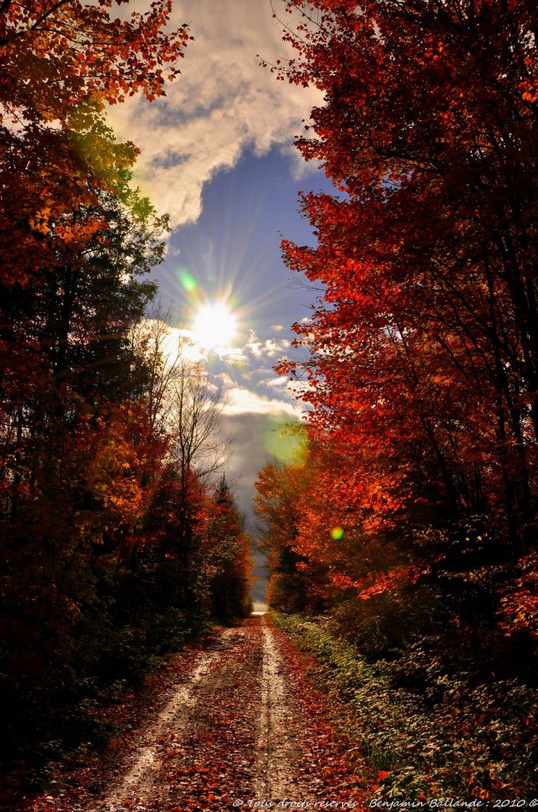 Девушка в шляпе в поле