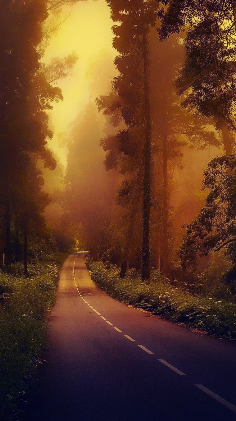 Аватарка Сова