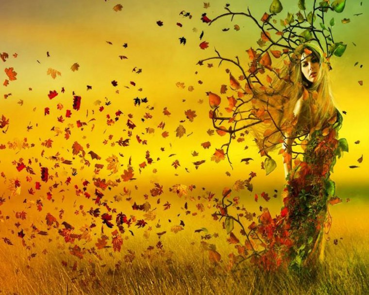 Прекрасные мгновения жизни