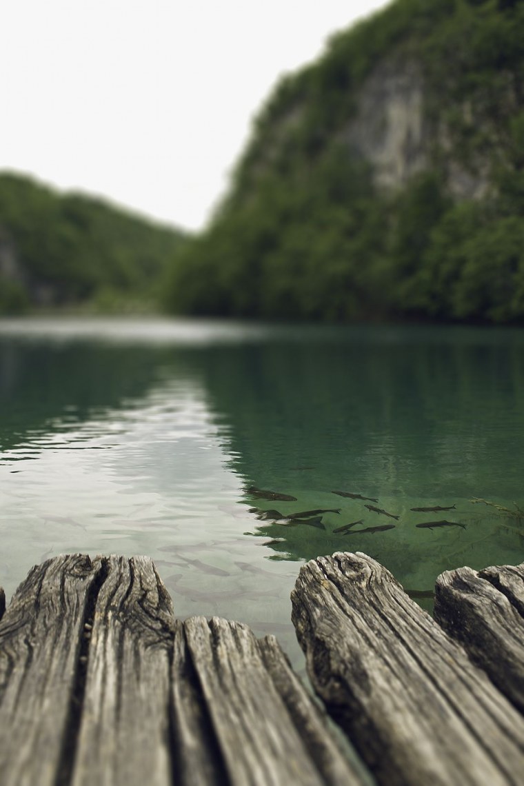 Душевные пейзажи