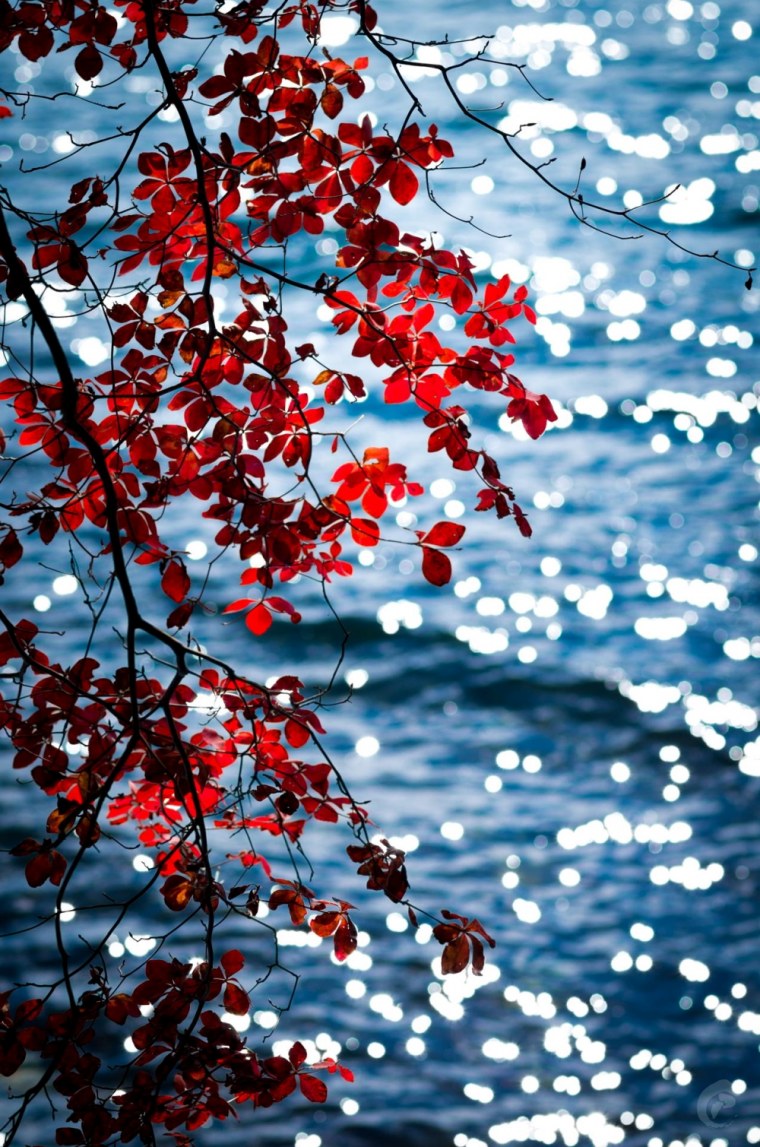 Уединение с природой