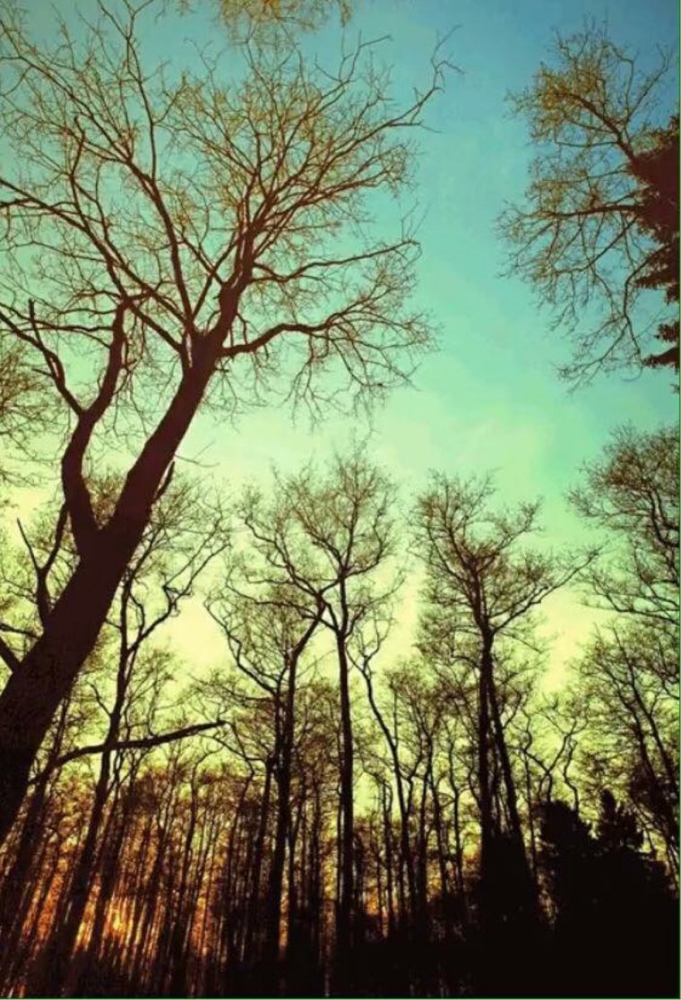 Весна любовь