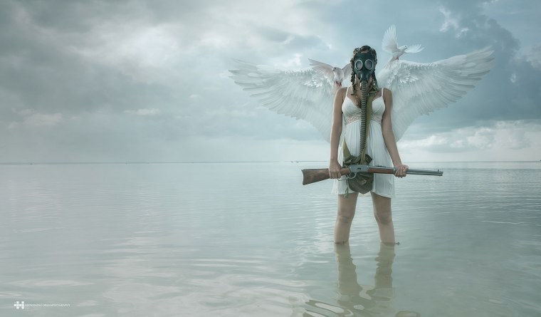 Крылья войны