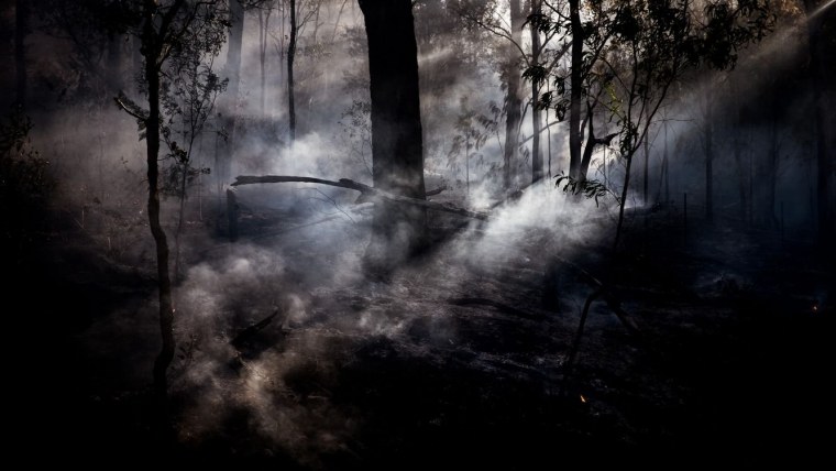 Темный туман