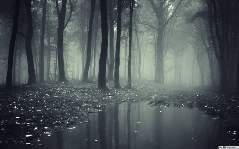 Мрачный пейзаж